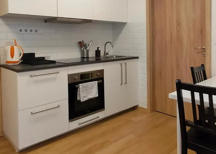 Apartment Stankova